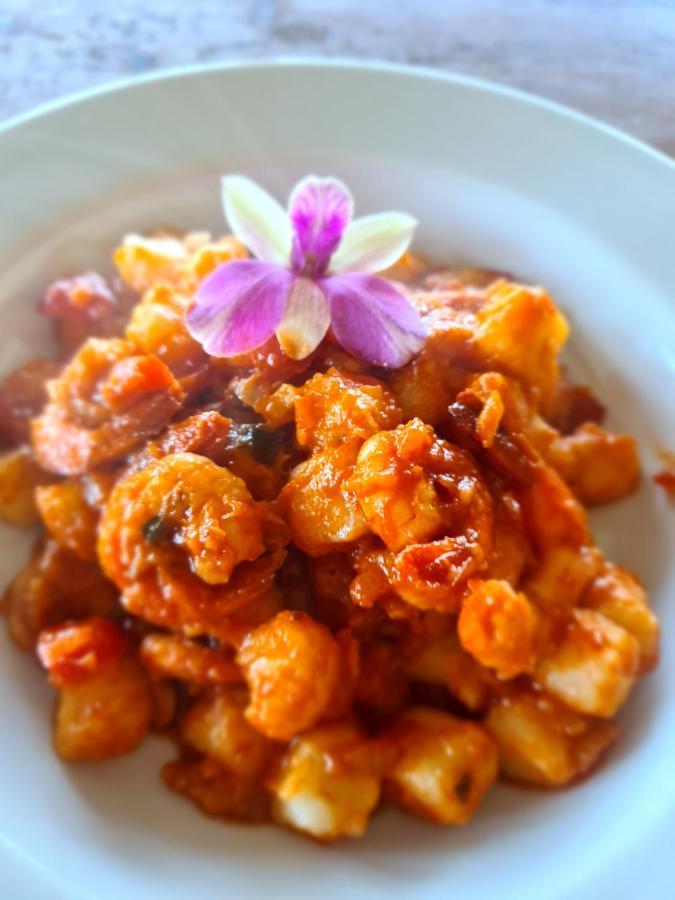 Apartament Casa Marrom Do Chef Araranguá Zewnętrze zdjęcie